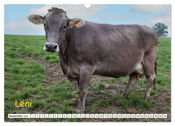 Produktbild: Aussterbende Rassen und Rarit&auml;ten (Wandkalender 2026 DIN A3 quer), CALVENDO Monatskalender
