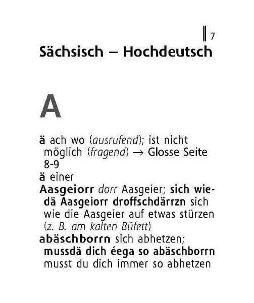 Produktbild: Langenscheidt Lilliput S&auml;chsisch