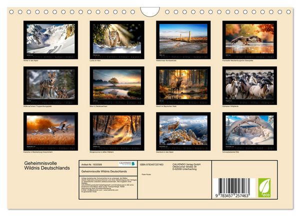 Produktbild: Geheimnisvolle Wildnis Deutschlands (Wandkalender 2026 DIN A4 quer), CALVENDO Monatskalender