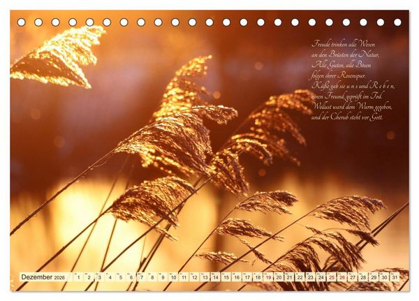 Produktbild: Sommergr&auml;ser (Tischkalender 2026 DIN A5 quer), CALVENDO Monatskalender