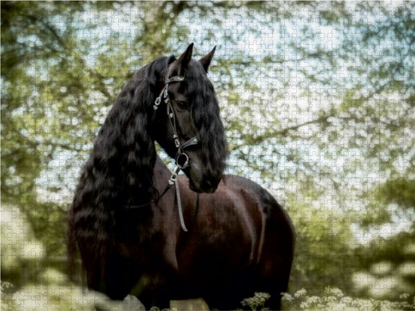 Produktbild: CALVENDO Puzzle Friese | 1000 Teile Lege-Gr&ouml;&szlig;e 64x48cm Foto-Puzzle f&uuml;r gl&uuml;ckliche Stunden