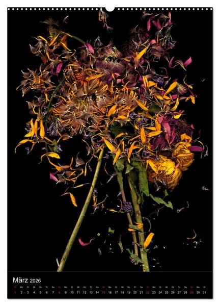 Produktbild: Blumen bei Nacht (hochwertiger Premium Wandkalender 2026 DIN A2 hoch), Kunstdruck in Hochglanz