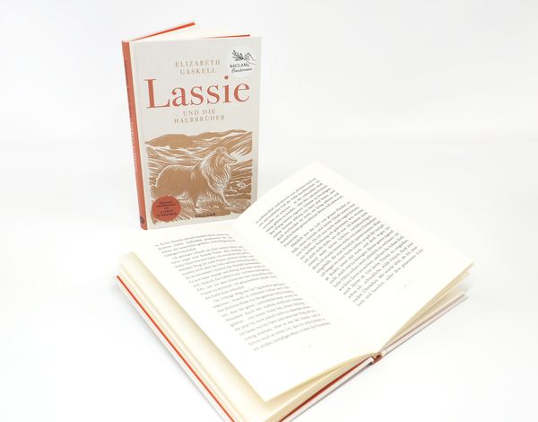 Produktbild: Lassie und die Halbbr&uuml;der