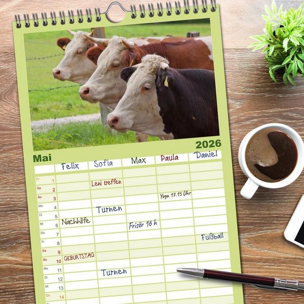 Produktbild: Familienplaner 2026 - K&uuml;he mit 5 Spalten (Wandkalender, 21 x 45 cm) CALVENDO