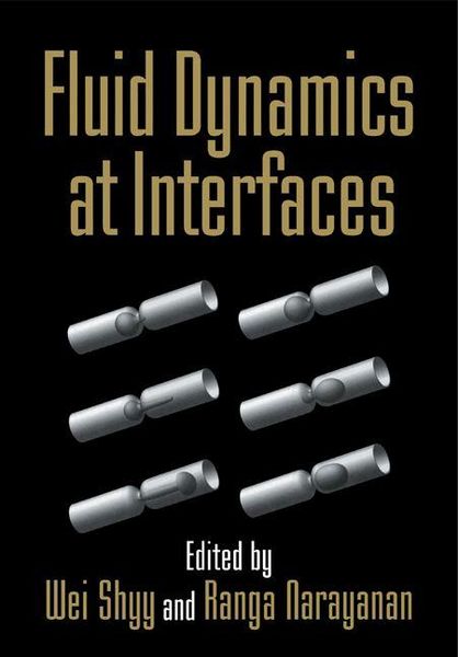 Produktbild: Fluid Dynamics at Interfaces