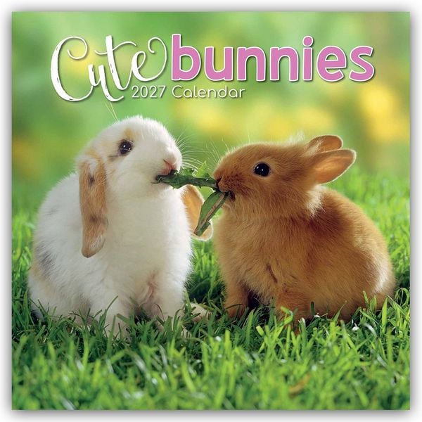 Produktbild: Cute Bunnies &ndash; Niedliche Kaninchen 2027 &ndash; 16-Monatskalender