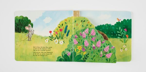 Produktbild: Wo bist du, kleiner Osterhase?