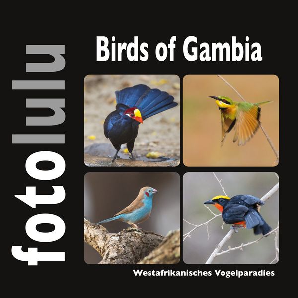 Produktbild: Birds of Gambia