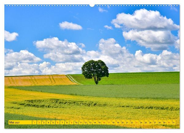 Produktbild: B&auml;ume sind Tr&auml;ume (hochwertiger Premium Wandkalender 2027 DIN A2 quer), Kunstdruck in Hochglanz