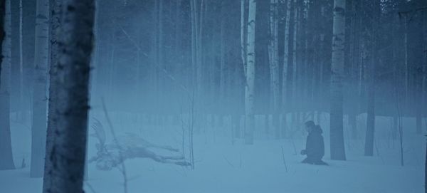 Produktbild: Cold Meat