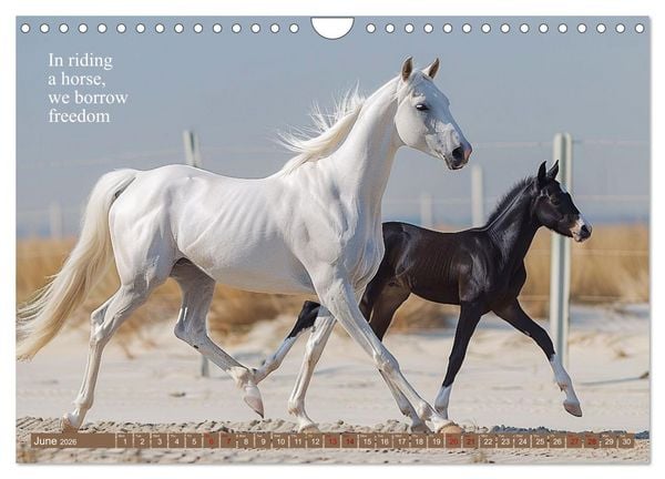 Produktbild: A Horse Makes You Complete (Wall Calendar 2026 DIN A4 landscape), CALVENDO 12 Month Wall Calendar