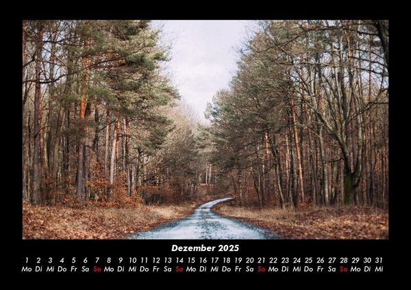 Produktbild: Waldzauber 2025 Fotokalender DIN A3