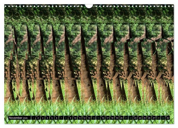 Produktbild: Magische Bilder - Stereogramme und 3D-Illusionen (Wandkalender 2026 DIN A3 quer), CALVENDO Monatskalender