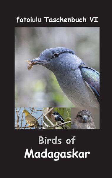 Produktbild: Birds of Madagaskar