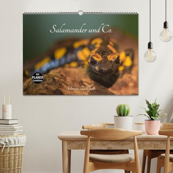 Produktbild: Salamander und Co. (Wandkalender 2026 DIN A2 quer), CALVENDO Monatskalender