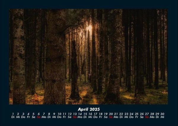 Produktbild: Waldzauber 2025 Fotokalender DIN A4