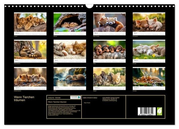 Produktbild: Wenn Tierchen tr&auml;umen (Wandkalender 2026 DIN A3 quer), CALVENDO Monatskalender