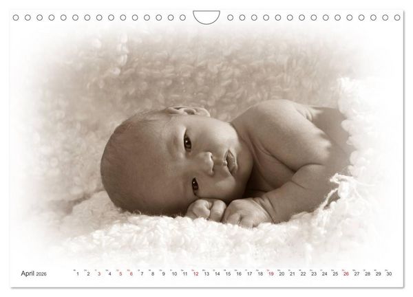 Produktbild: Babys - Willkommen im Leben (Wandkalender 2026 DIN A4 quer), CALVENDO Monatskalender