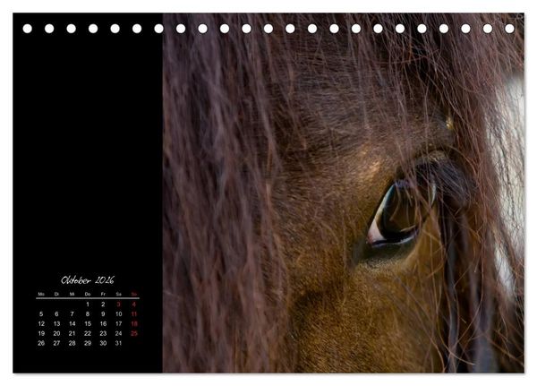 Produktbild: Irish Tinker (Tischkalender 2026 DIN A5 quer), CALVENDO Monatskalender