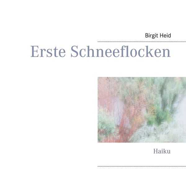 Produktbild: Erste Schneeflocken