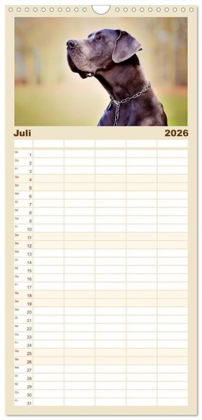 Produktbild: Familienplaner 2026 - Deutsche Doggen / Geburtstagskalender mit 5 Spalten (Wandkalender, 21 x 45 cm) CALVENDO