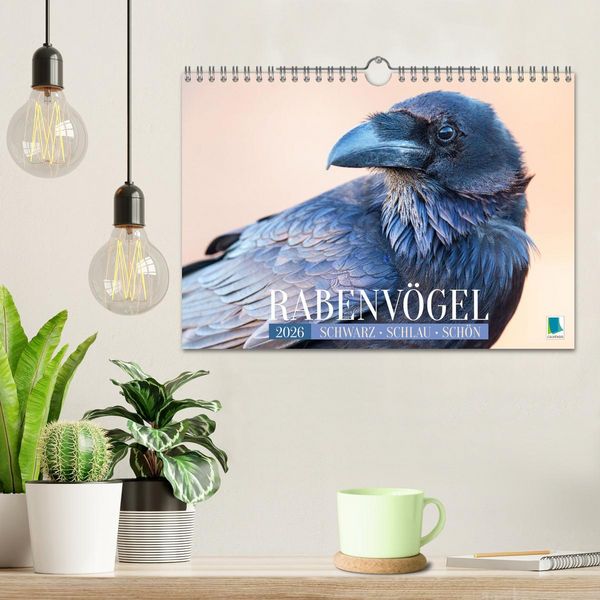 Produktbild: Rabenv&ouml;gel: Schwarz, schlau, sch&ouml;n (Wandkalender 2026 DIN A4 quer), CALVENDO Monatskalender
