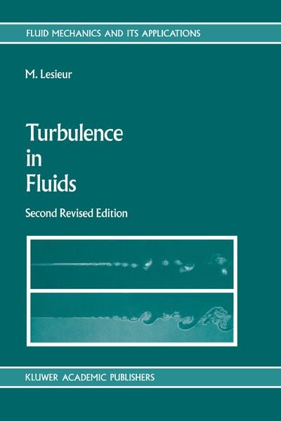 Produktbild: Turbulence in Fluids