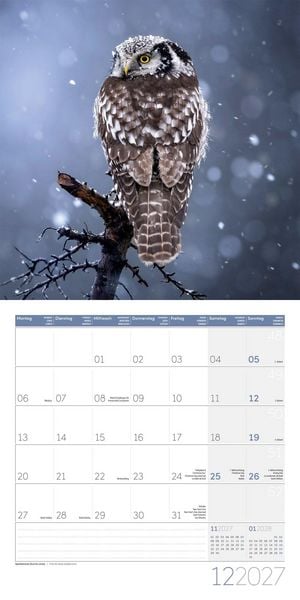 Produktbild: Eulen Kalender 2027 - 30x30 - Art12
