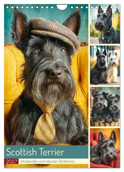 Produktbild: Scottish Terrier. W&uuml;rdevoller und robuster Gentlemen (Wandkalender 2027 DIN A4 hoch), CALVENDO Monatskalender