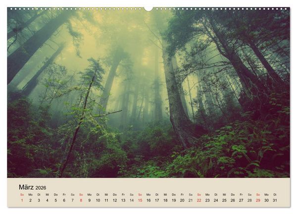 Produktbild: Der Wald. Durch zauberhafte Waldlandschaften (Wandkalender 2026 DIN A2 quer), CALVENDO Monatskalender