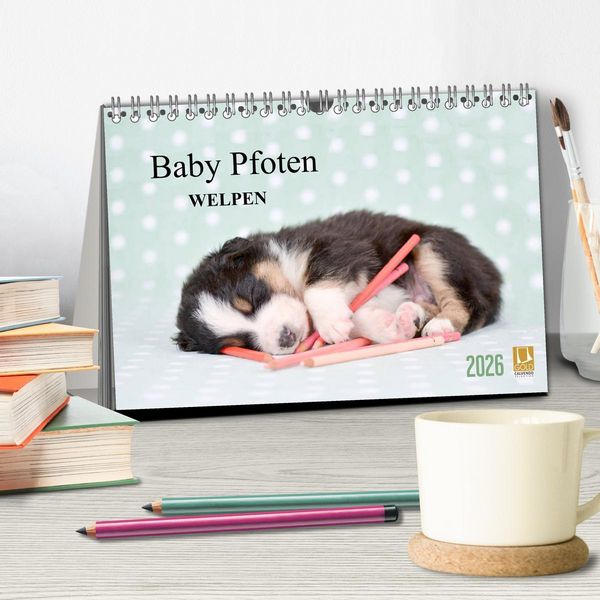 Produktbild: Baby Pfoten (Tischkalender 2026 DIN A5 quer), CALVENDO Monatskalender