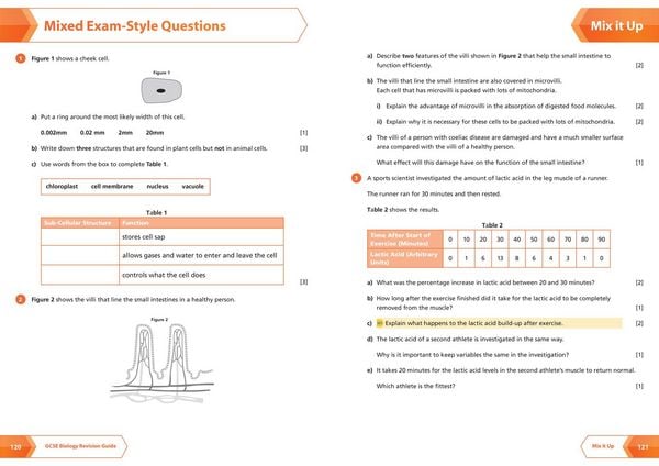 Produktbild: AQA GCSE 9-1 Biology All-in-One Complete Revision and Practice