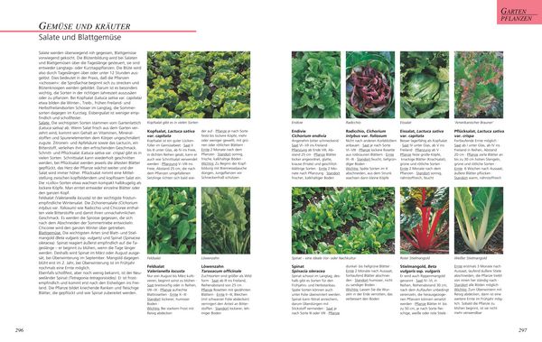 Produktbild: Das gro&szlig;e GU Gartenbuch