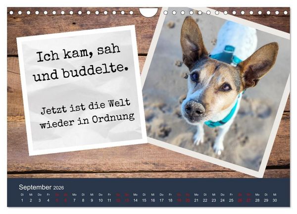 Produktbild: Ratonero Bodeguero Andaluz (Wandkalender 2026 DIN A4 quer), CALVENDO Monatskalender