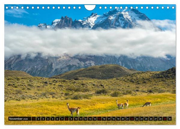 Produktbild: Patagonien und Feuerland (Wandkalender 2026 DIN A4 quer), CALVENDO Monatskalender