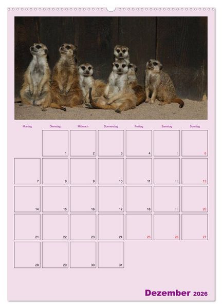 Produktbild: Erdm&auml;nnchen / Terminplaner (Wandkalender 2026 DIN A2 hoch), CALVENDO Monatskalender