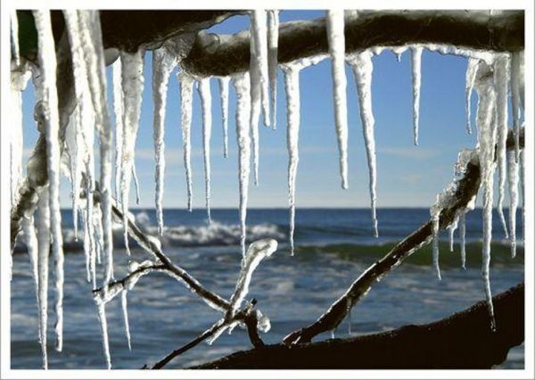 Produktbild: Bin am Meer - Postkartenbuch