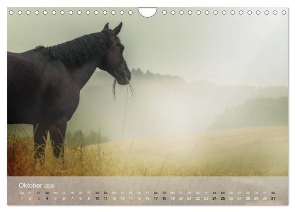 Produktbild: Pferde - Anmut und St&auml;rke gepaart mit Magie (Wandkalender 2026 DIN A4 quer), CALVENDO Monatskalender