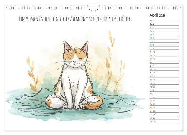 Produktbild: Kleine Schnurr-Momente f&uuml;rs Herz (Wandkalender 2026 DIN A4 quer), CALVENDO Monatskalender