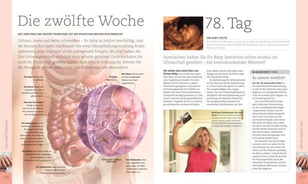 Alles über meine Schwangerschaft Tag für Tag