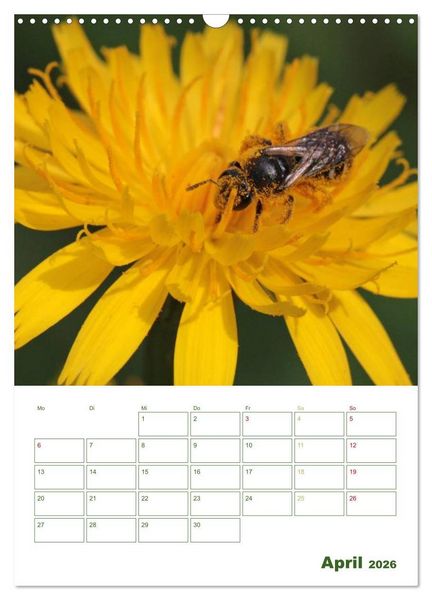 Produktbild: Bienen-Terminplaner 2026 (Wandkalender 2026 DIN A3 hoch), CALVENDO Monatskalender