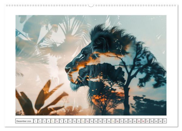 Produktbild: Traumhafte Silhouetten (hochwertiger Premium Wandkalender 2026 DIN A2 quer), Kunstdruck in Hochglanz