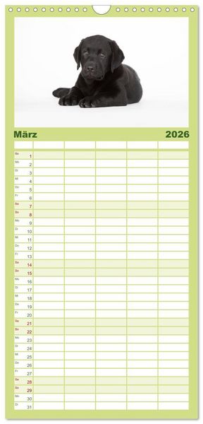 Produktbild: Familienplaner 2026 - Labrador Retriever mit 5 Spalten (Wandkalender, 21 x 45 cm) CALVENDO