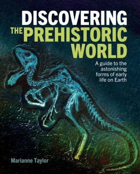 Produktbild: Taylor, M: Discovering the Prehistoric World