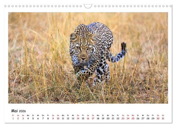 Produktbild: Tierparadies Kenia (Wandkalender 2026 DIN A3 quer), CALVENDO Monatskalender