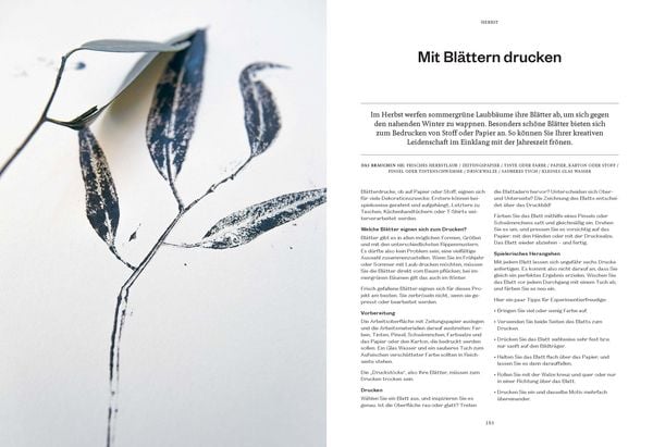 Produktbild: 365 Tage Natur: f&uuml;hlen, schmecken, entdecken