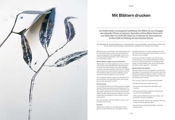Produktbild: 365 Tage Natur: f&uuml;hlen, schmecken, entdecken
