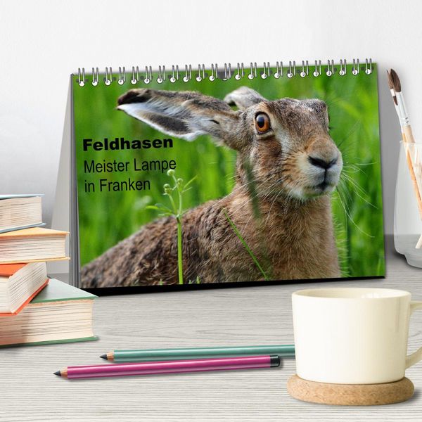 Produktbild: Feldhasen - Meister Lampe in Franken (Tischkalender 2026 DIN A5 quer), CALVENDO Monatskalender
