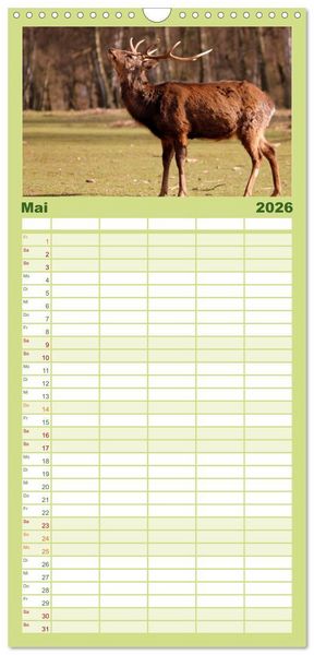 Produktbild: Familienplaner 2026 - Hirsche - K&ouml;nige des Waldes mit 5 Spalten (Wandkalender, 21 x 45 cm) CALVENDO