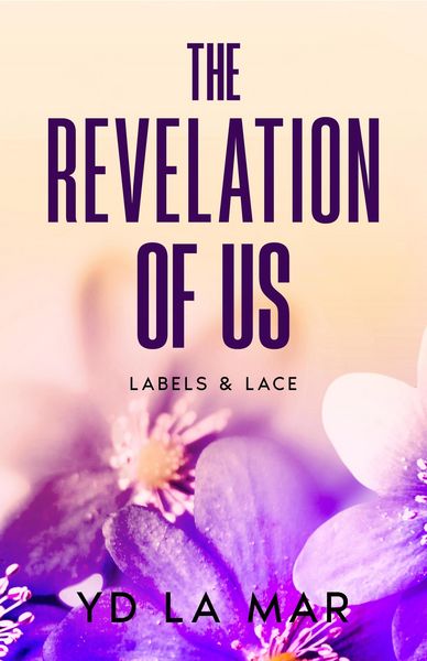 Produktbild: The Revelation of Us (Labels & Lace, #3)